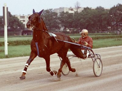 Haroun / Albert Plschek
Baden 1979
