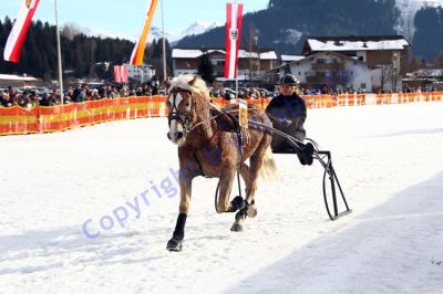20140106_03_23.JPG
