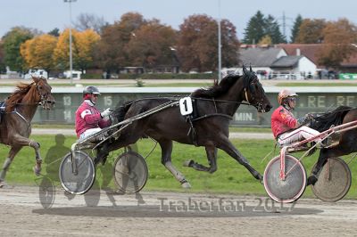 20171001_r10_083_R10_0196.jpg
