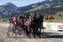 Dateiname=20171026_um_040_R05_0093.jpg
Dateigröße=143KB
Abmessungen: 750x500
hinzugefügt am: 27. Oktober 2017 20171026_um_040_R05_0093.jpg