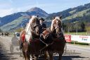 Dateiname=20171026_um_048_R05_0113.jpg
Dateigröße=119KB
Abmessungen: 750x500
hinzugefügt am: 27. Oktober 2017 20171026_um_048_R05_0113.jpg