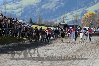 20171026_esel_039_R08_0015.jpg