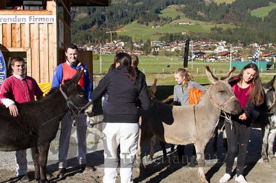 20171026_esel_101_R08_0112.jpg