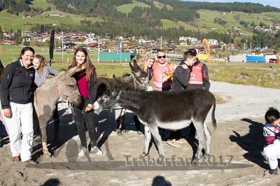 20171026_esel_107_R08_0123.jpg