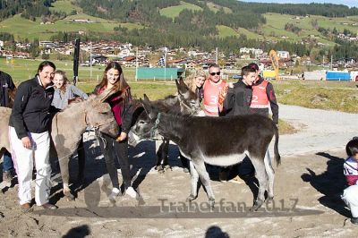 20171026_esel_108_R08_0125.jpg