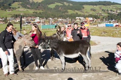 20171026_esel_109_R08_0128.jpg