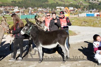 20171026_esel_113_R08_0134.jpg