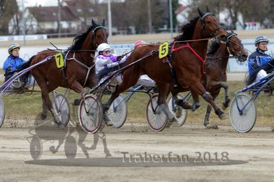 20180311_r06_116_R06_0191.jpg