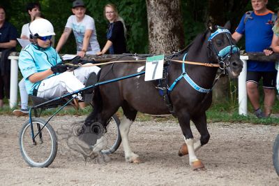 20180815_zja100_013_IMG_0044.jpg