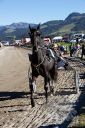 Dateiname=20181026_ja_072_102CANON_IMG_0038.jpg
Dateigröße=152KB
Abmessungen: 500x750
hinzugefügt am: 29. Oktober 2018 20181026_ja_072_102CANON_IMG_0038.jpg