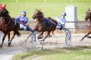 Dateiname=20181026_ja_191_106CANON_IMG_0022.jpg
Dateigröße=133KB
Abmessungen: 750x500
hinzugefügt am: 29. Oktober 2018 20181026_ja_191_106CANON_IMG_0022.jpg