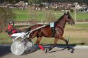 Dateiname=20181026_ja_206_107CANON_IMG_0003.jpg
Dateigröße=136KB
Abmessungen: 750x500
hinzugefügt am: 29. Oktober 2018 20181026_ja_206_107CANON_IMG_0003.jpg