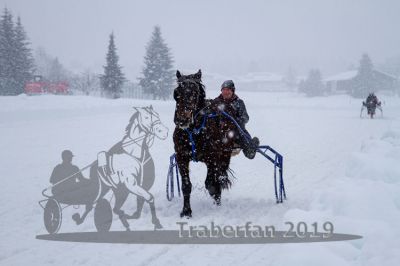 20190106_r06_037_R06_0077.jpg