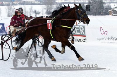 20190127_r01_083_R01_0140.jpg