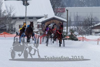 20190127_r02_039_R02_0063.jpg
