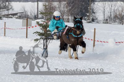 20190127_r03_032_R03_0036.jpg