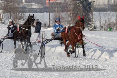 20190127_r05_045_R05_0077.jpg