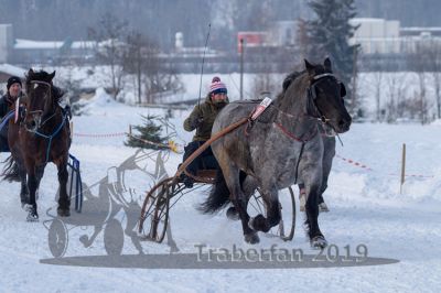 20190127_r08_033_R08_0051.jpg