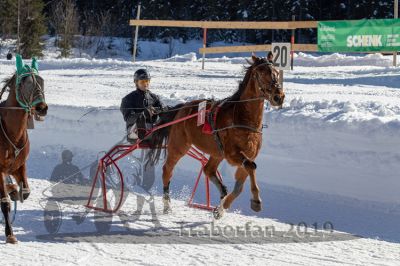 20190217_r01_012_R01_0005.jpg