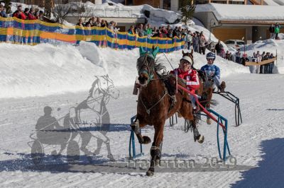 20190217_r01_072_R01_0119.jpg