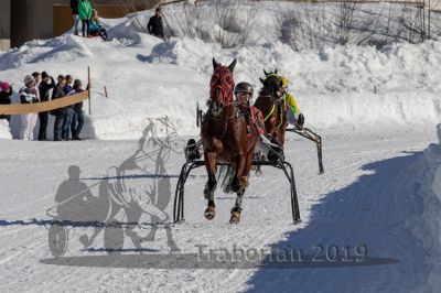 20190217_r01_074_R01_0124.jpg