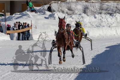 20190217_r01_075_R01_0126.jpg