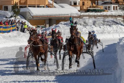 20190217_r02_044_R02_0074.jpg