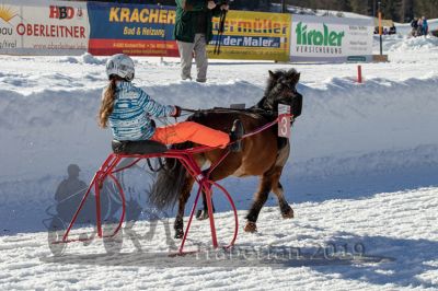 20190217_r03_025_R03_0040.jpg