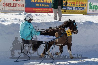 20190217_r03_028_R03_0046.jpg