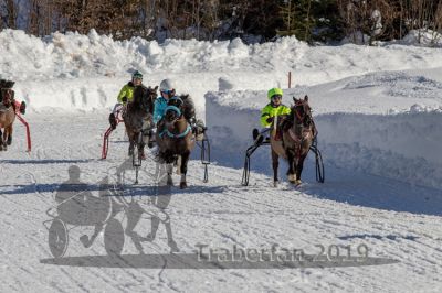 20190217_r03_029_R03_0047.jpg