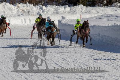20190217_r03_030_R03_0048.jpg