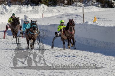20190217_r03_032_R03_0052.jpg