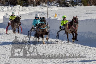 20190217_r03_036_R03_0056.jpg