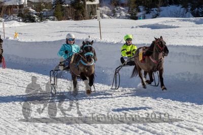 20190217_r03_044_R03_0065.jpg