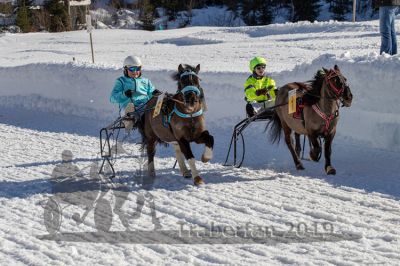 20190217_r03_045_R03_0067.jpg