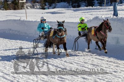20190217_r03_046_R03_0068.jpg