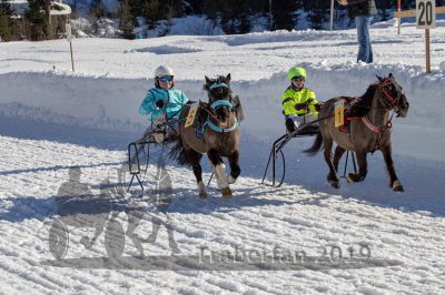 20190217_r03_048_R03_0070.jpg