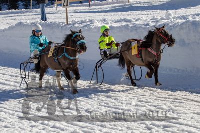 20190217_r03_051_R03_0074.jpg