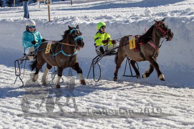 20190217_r03_052_R03_0075.jpg