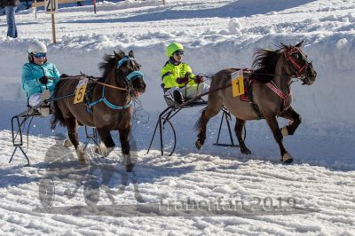 20190217_r03_053_R03_0076.jpg