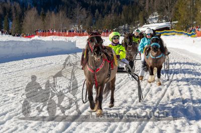 20190217_r03_065_R03_0018.jpg