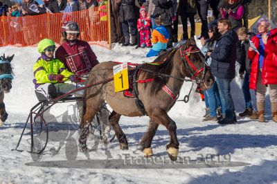 20190217_r03_083_R03_0051.jpg