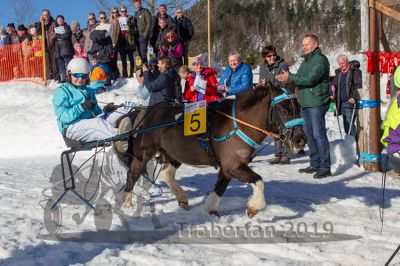 20190217_r03_086_R03_0056.jpg