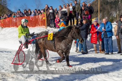 20190217_r03_088_R03_0059.jpg