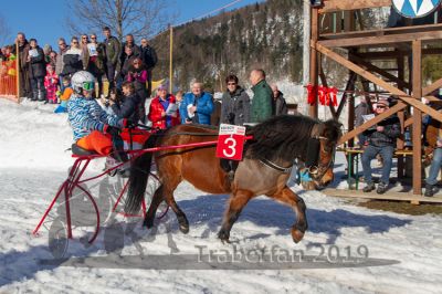 20190217_r03_092_R03_0066.jpg