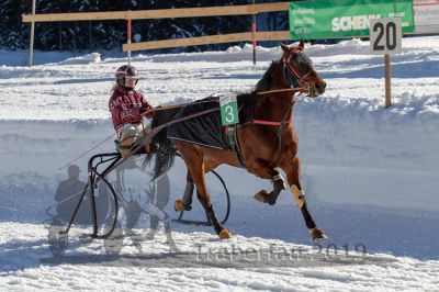 20190217_r04_010_R04_0006.jpg