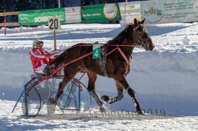 20190217_r04_025_R04_0030.jpg