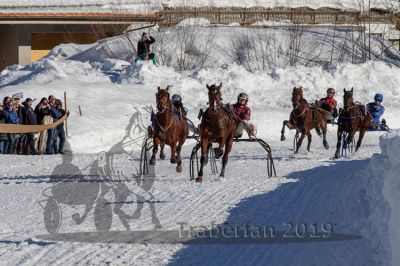 20190217_r05_064_R05_0112.jpg