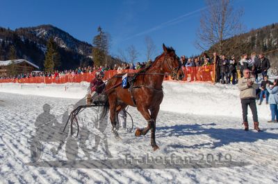 20190217_r05_106_R05_0067.jpg