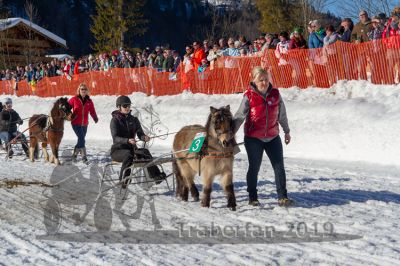 20190217_r06_021_R06_0039.jpg